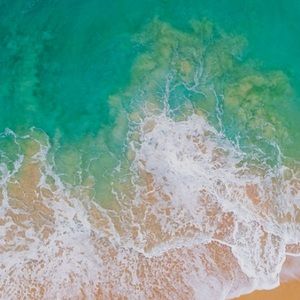 Meet your Posher, Sharbel